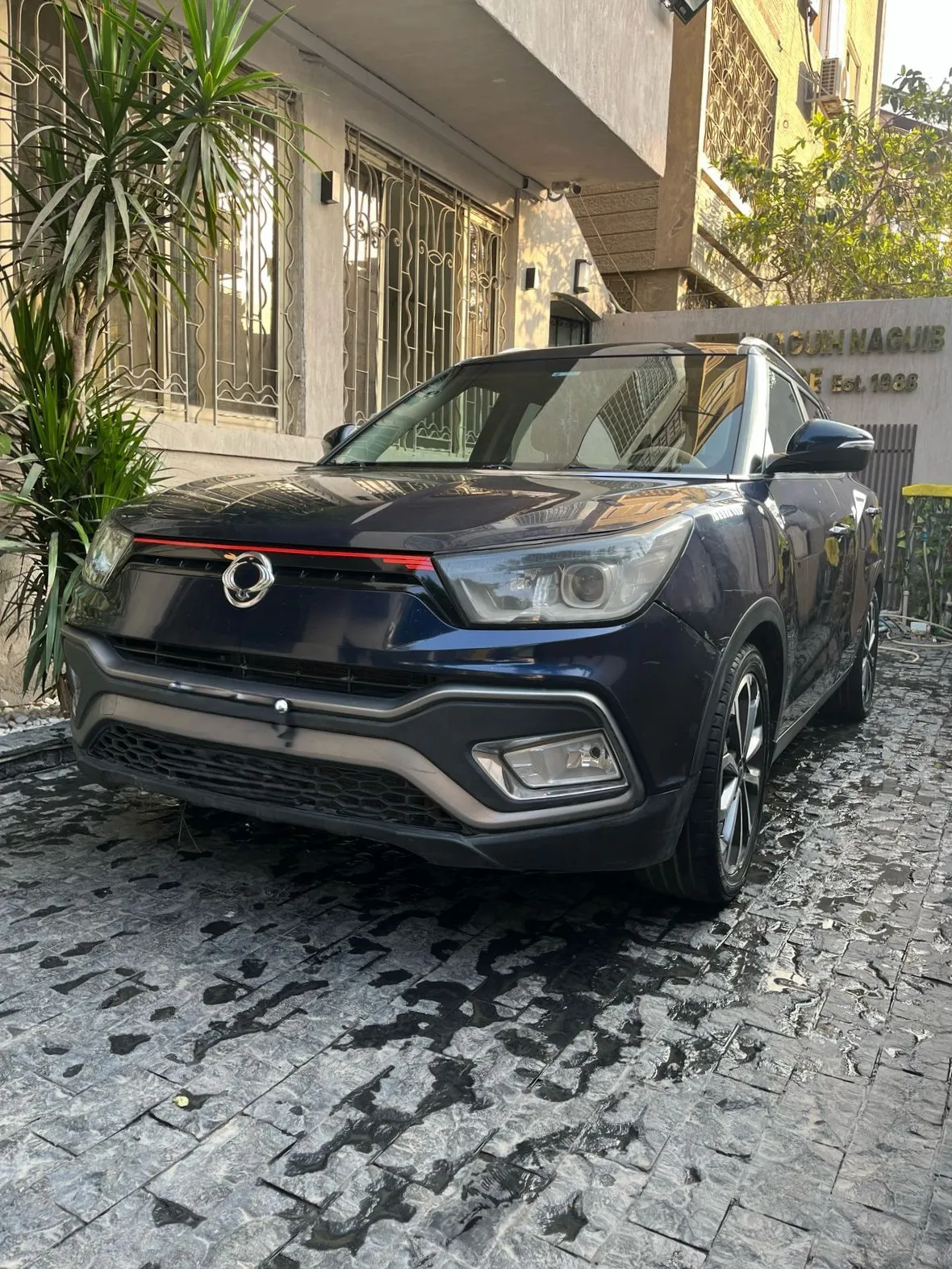 سانج يونج تيفولي 2019